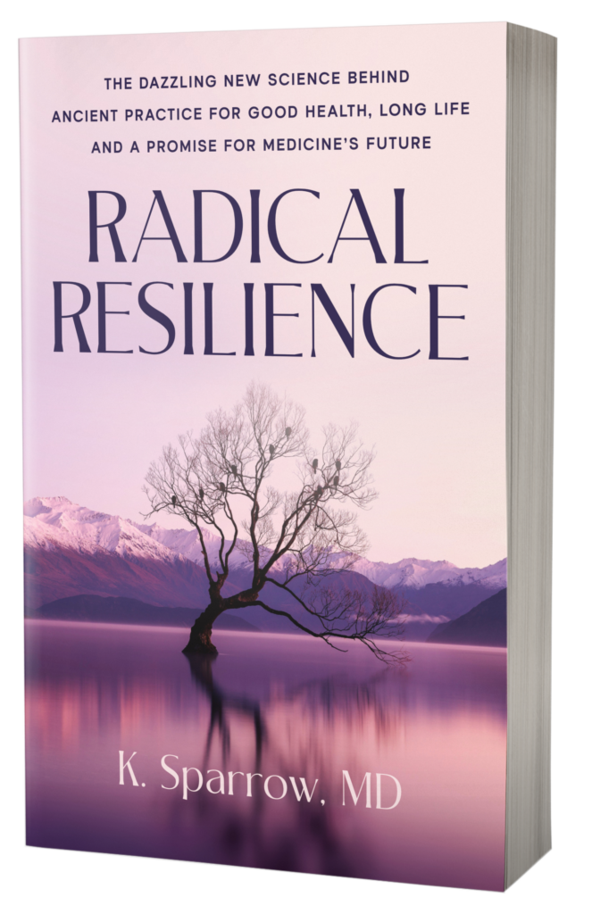 Radical Resilience Book