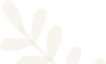 White flower with a black and white image of a bird perched atop a branch of a tree
