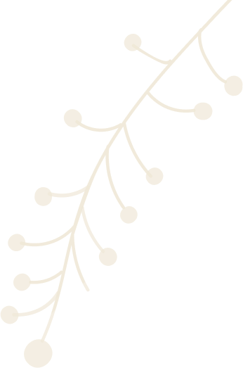White background with a branch of a tree adorned with white berries, creating a festive Christmas tree clipart