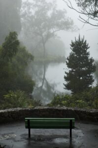 serene, misty park bench