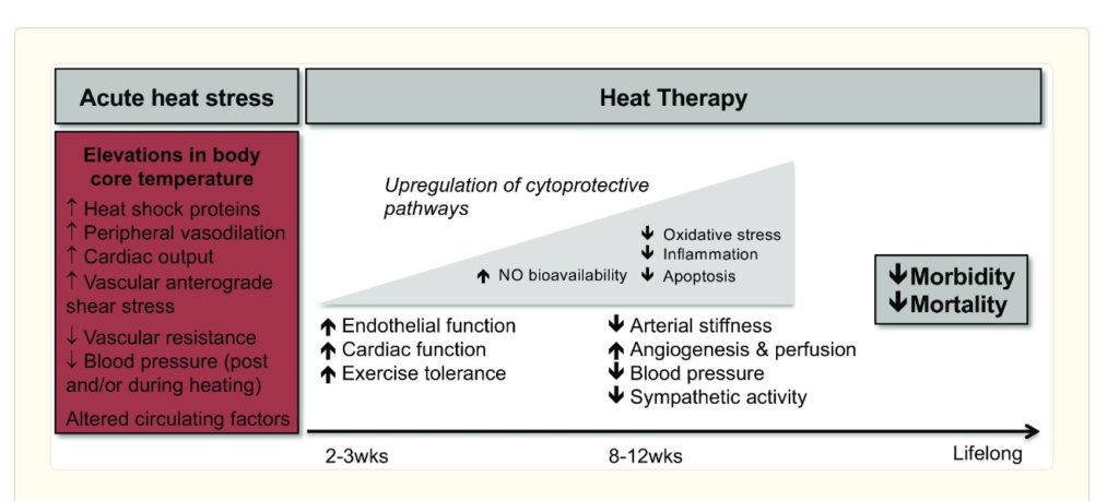 sauna and health