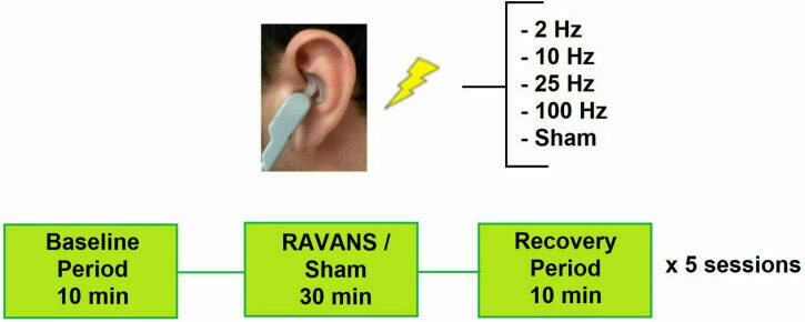 Ear stimulation to Lower Blood Pressure: RAVANS or TAVNS