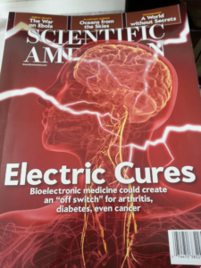 Scientific American bioelectricity