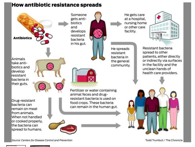 antibiotic resistance