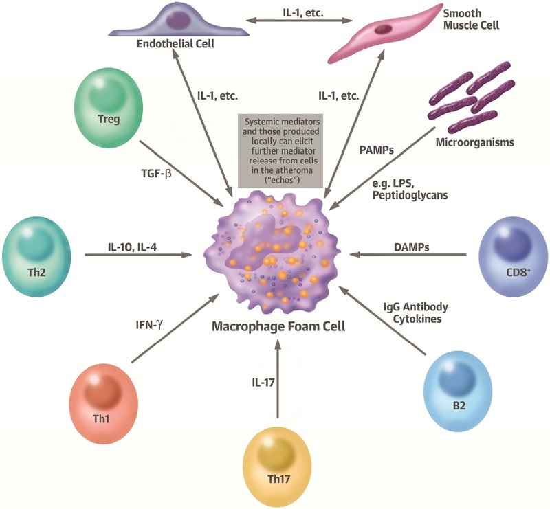 cytokines-affecting-mast-cells-from-atheroscleroisis-article-6.4.2020 ...